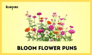 Bloom Flower Puns