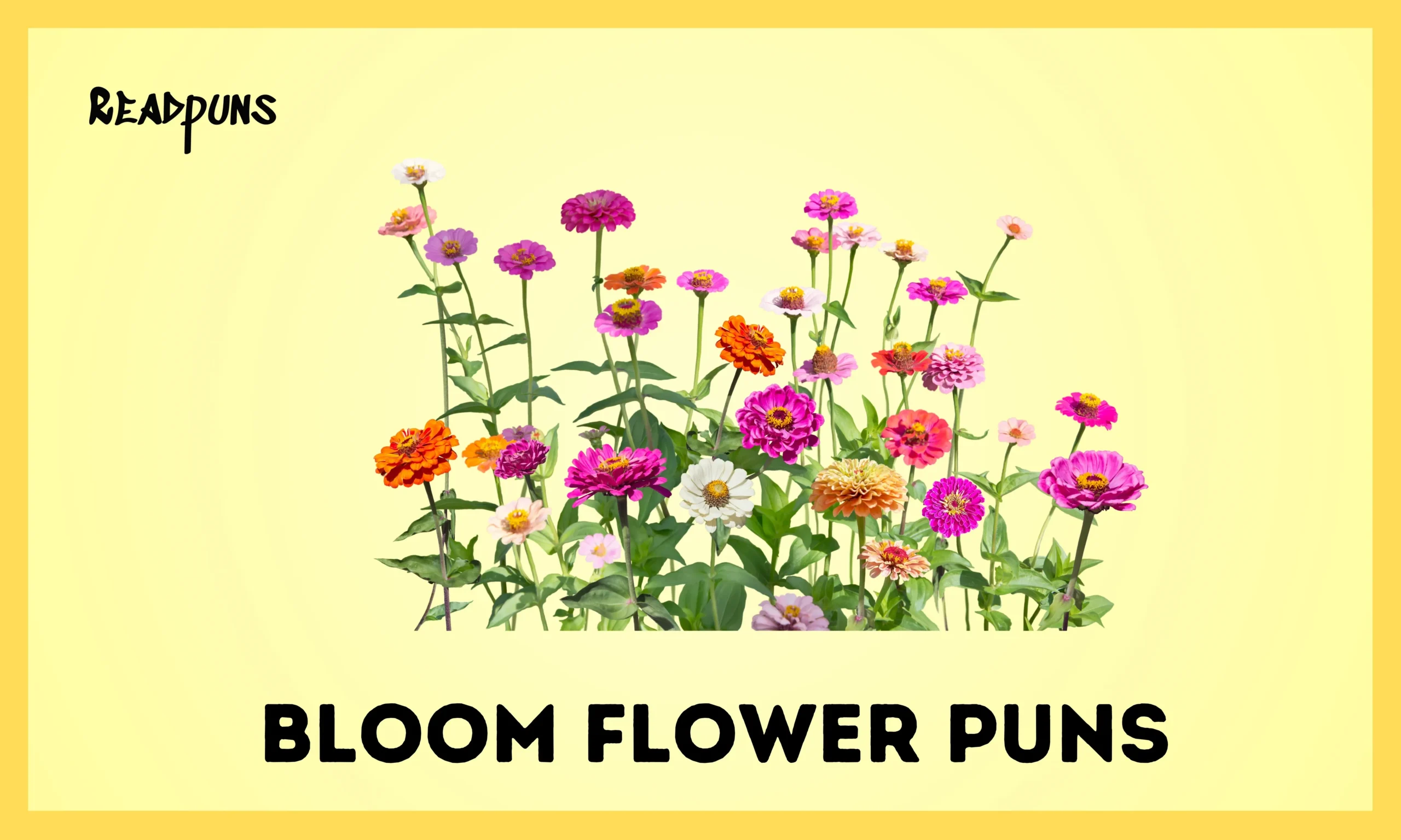 Bloom Flower Puns