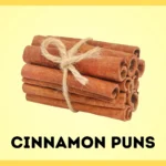 Cinnamon Puns