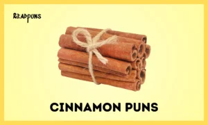 Cinnamon Puns