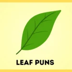 Leaf Puns