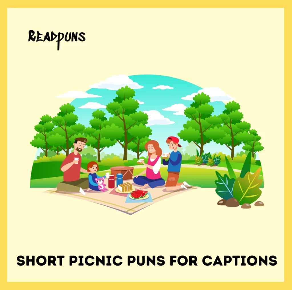 Short Picnic Puns for Captions
