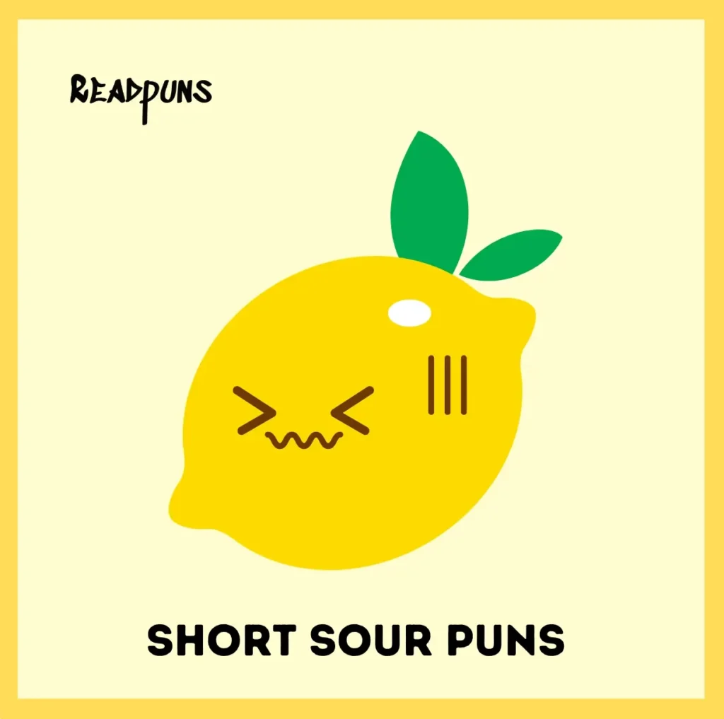Short Sour Puns