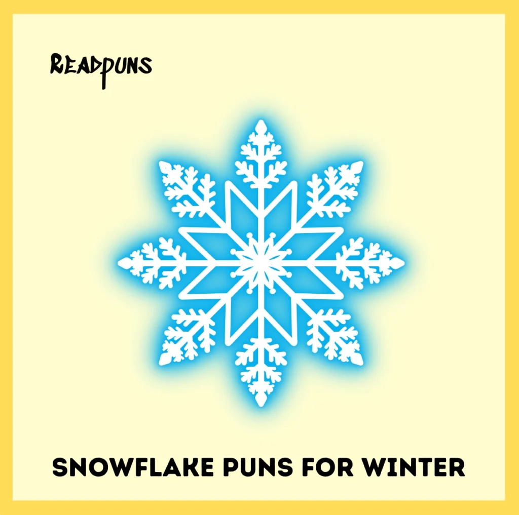 Snowflake Puns for Winter