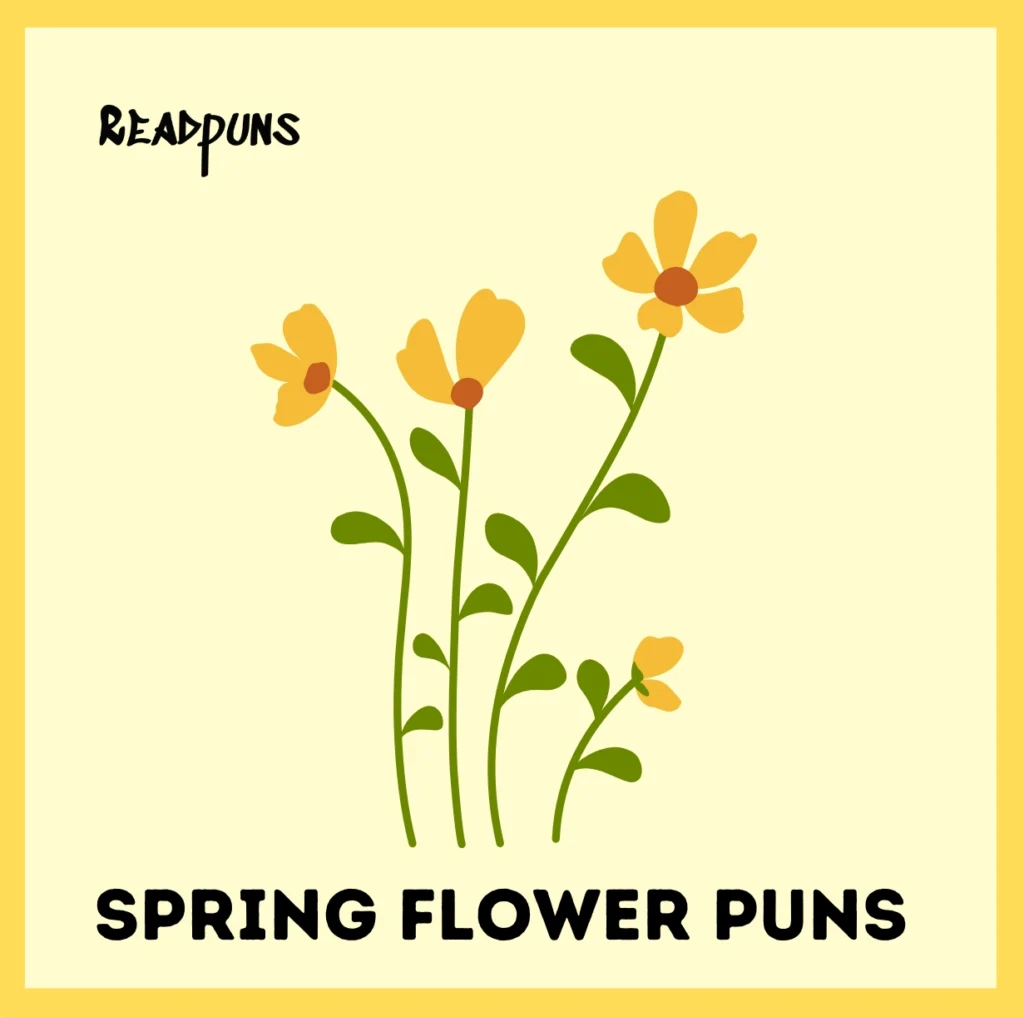 Spring Flower Puns