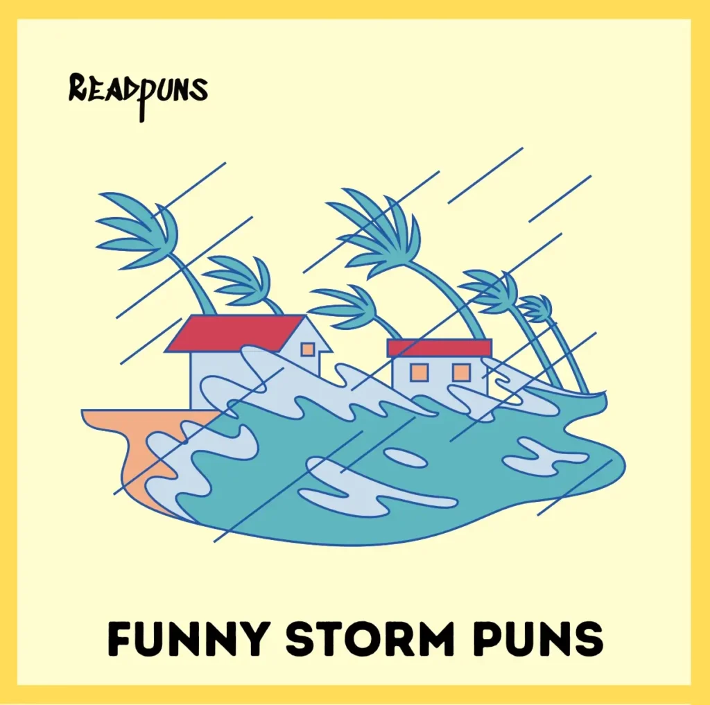 Funny Storm Puns