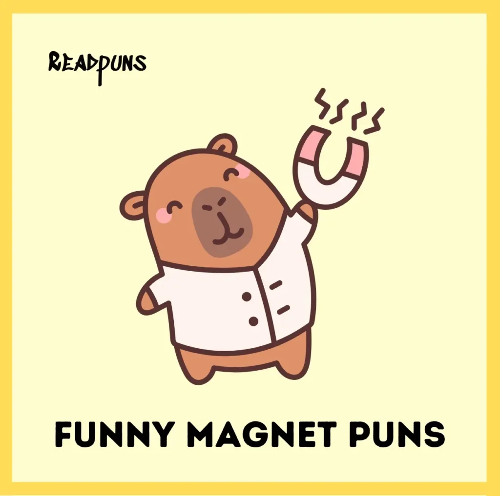 Funny Magnet Puns