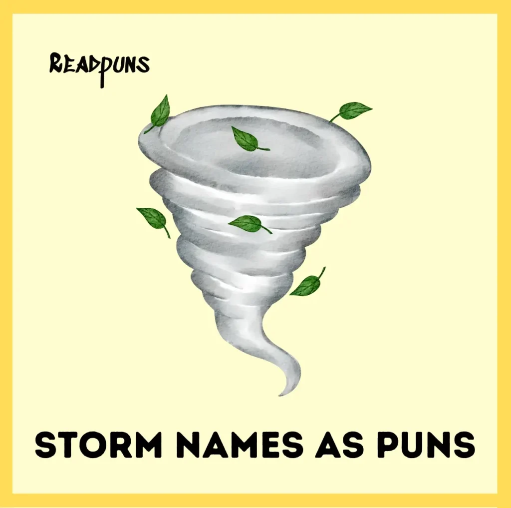Storm Names as Puns