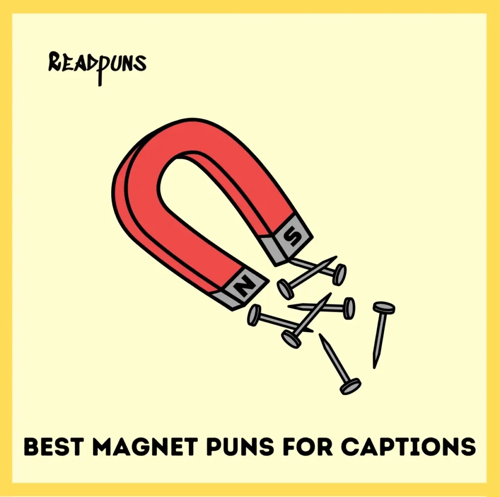 Best Magnet Puns For Captions