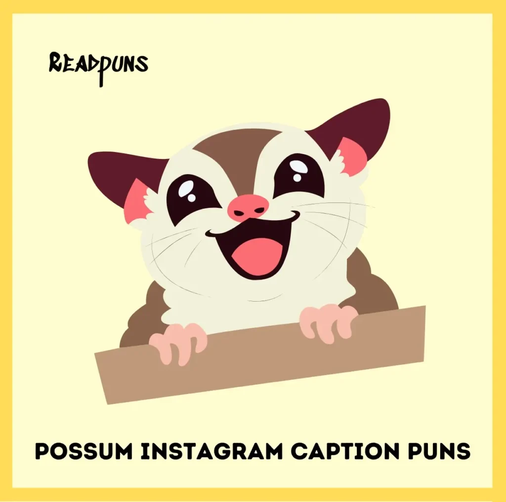 Possum Instagram Caption Puns