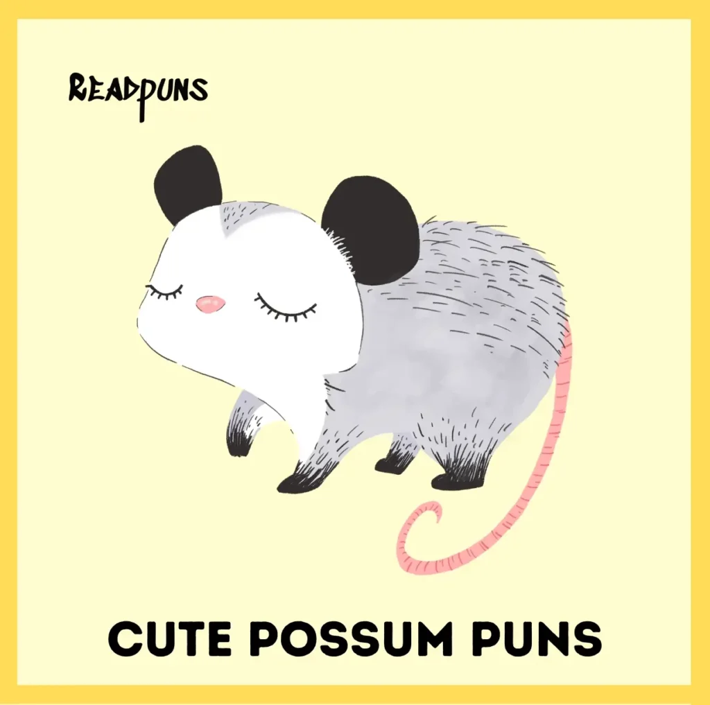 Cute Possum Puns