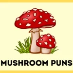 Mushroom Puns
