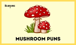 Mushroom Puns