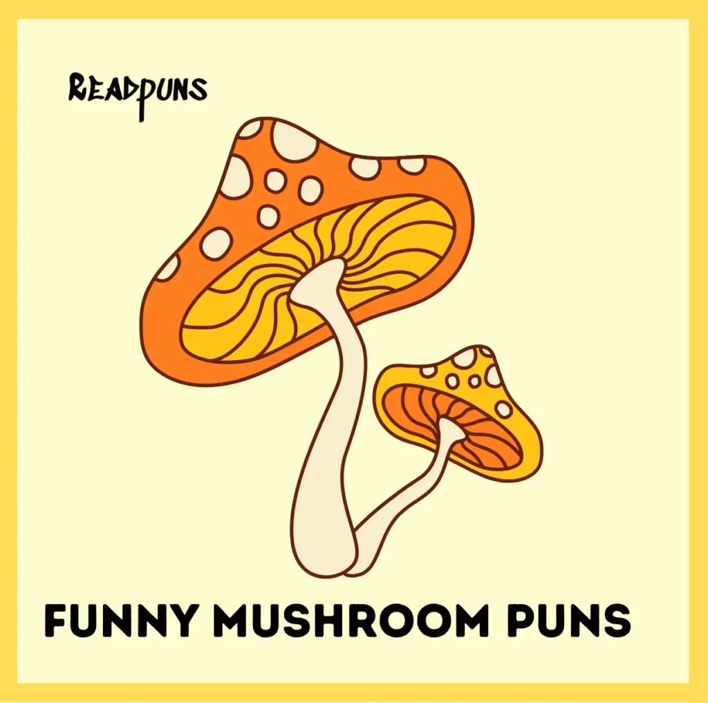 Funny Mushroom Puns