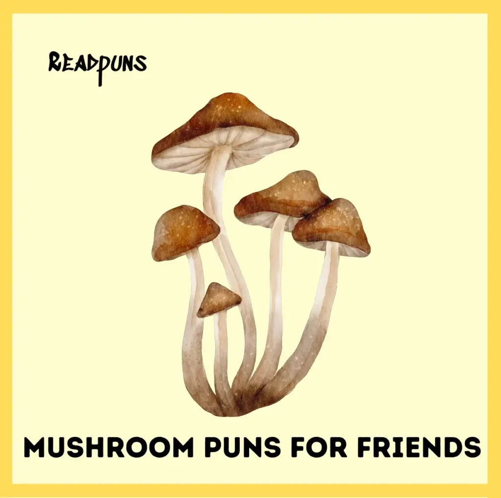 Mushroom Puns for Friends